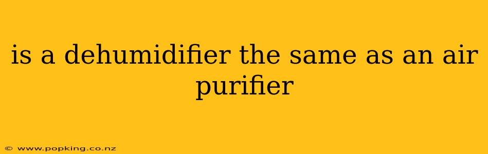 is a dehumidifier the same as an air purifier