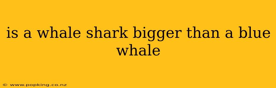 is a whale shark bigger than a blue whale