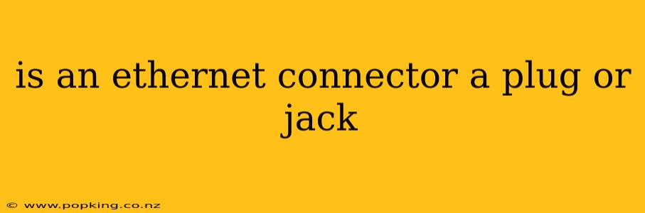 is an ethernet connector a plug or jack