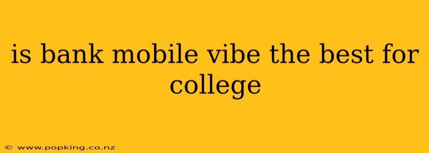 is bank mobile vibe the best for college