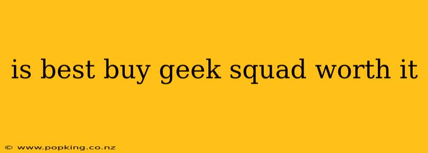 is best buy geek squad worth it