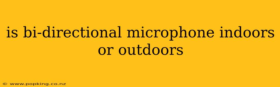 is bi-directional microphone indoors or outdoors