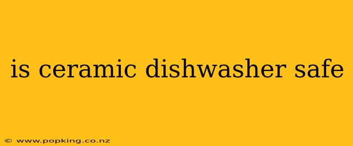 is ceramic dishwasher safe
