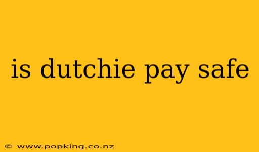 is dutchie pay safe