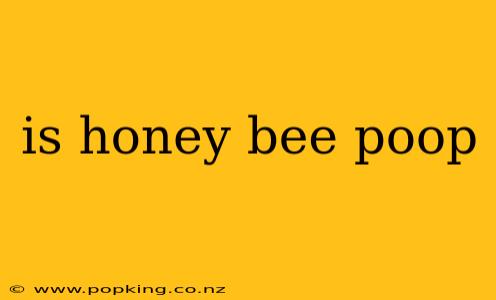 is honey bee poop
