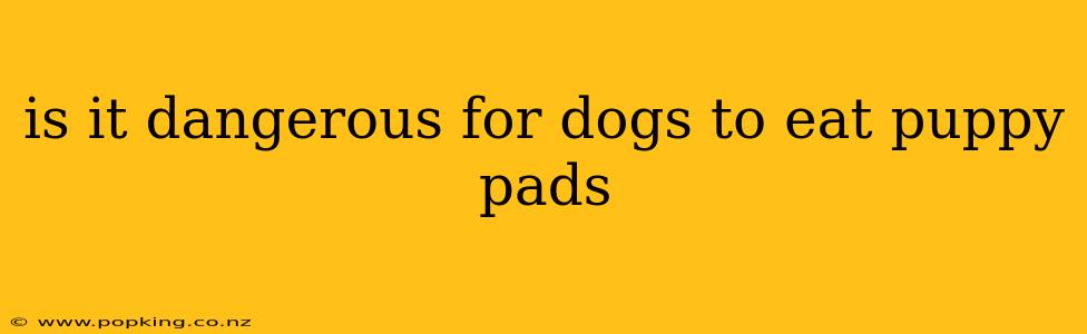 is it dangerous for dogs to eat puppy pads