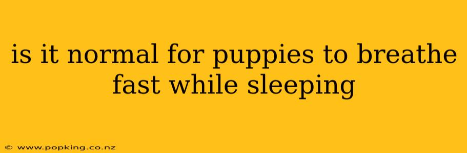 is it normal for puppies to breathe fast while sleeping