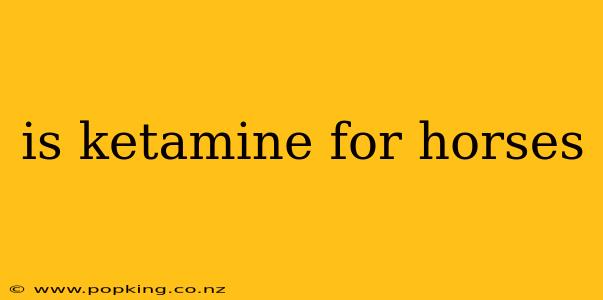 is ketamine for horses