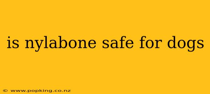 is nylabone safe for dogs