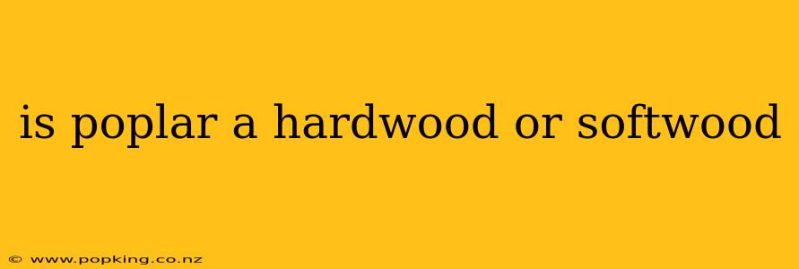 is poplar a hardwood or softwood