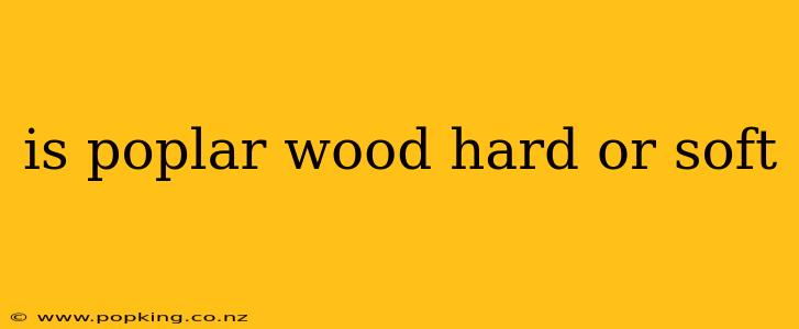 is poplar wood hard or soft
