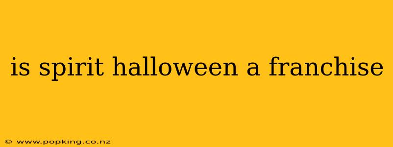 is spirit halloween a franchise