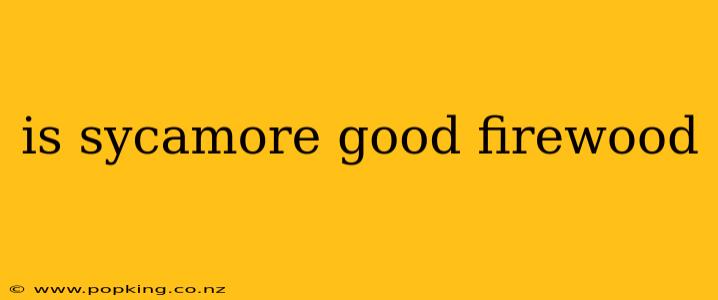 is sycamore good firewood