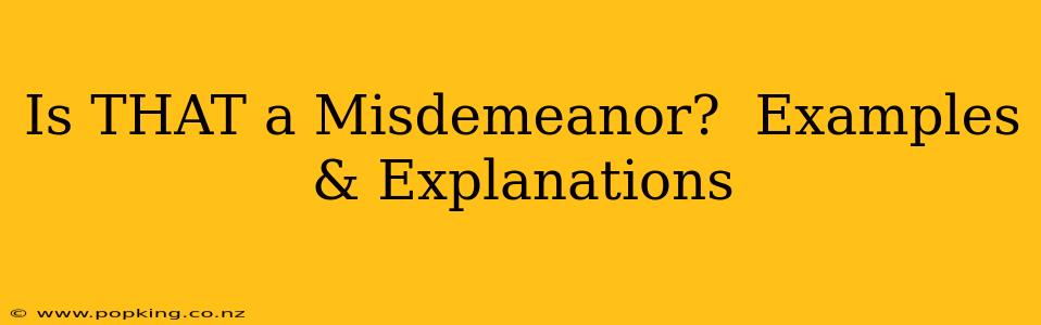 Is THAT a Misdemeanor?  Examples & Explanations