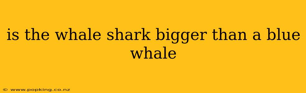 is the whale shark bigger than a blue whale