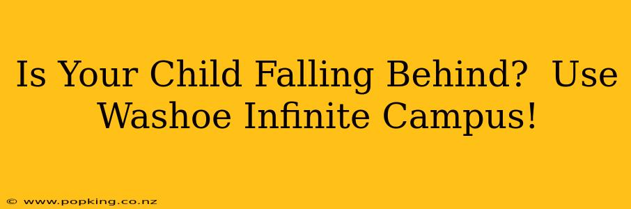 Is Your Child Falling Behind?  Use Washoe Infinite Campus!