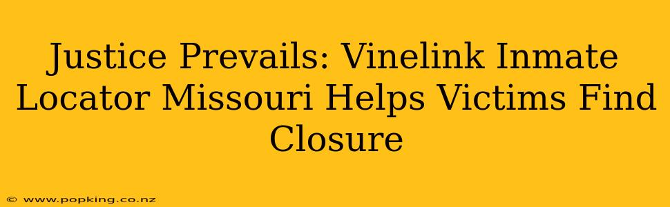 Justice Prevails: Vinelink Inmate Locator Missouri Helps Victims Find Closure