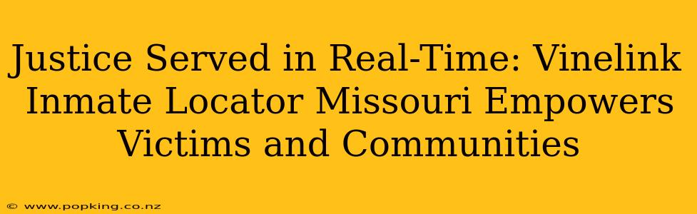 Justice Served in Real-Time: Vinelink Inmate Locator Missouri Empowers Victims and Communities