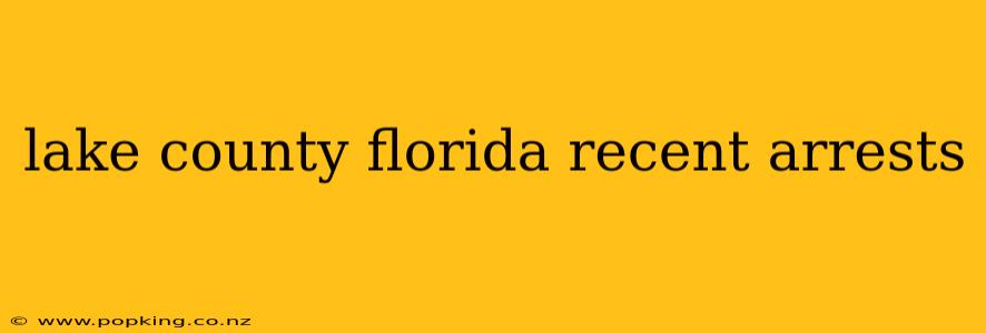 lake county florida recent arrests