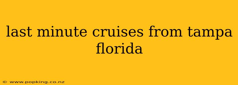 last minute cruises from tampa florida