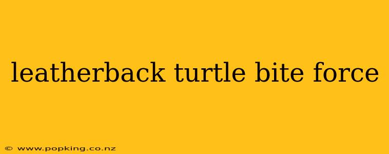 leatherback turtle bite force
