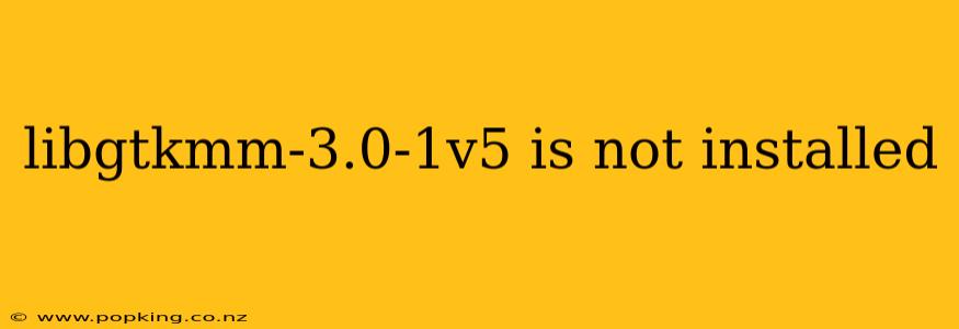 libgtkmm-3.0-1v5 is not installed
