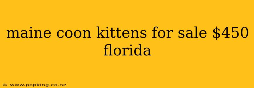 maine coon kittens for sale $450 florida
