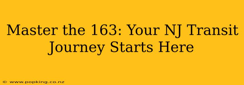 Master the 163: Your NJ Transit Journey Starts Here