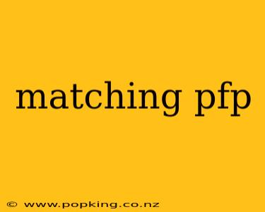 matching pfp