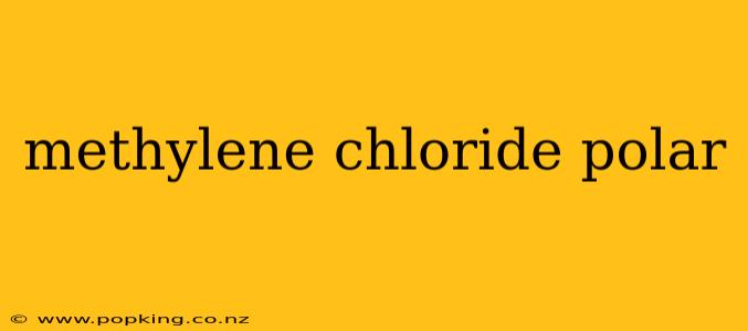 methylene chloride polar
