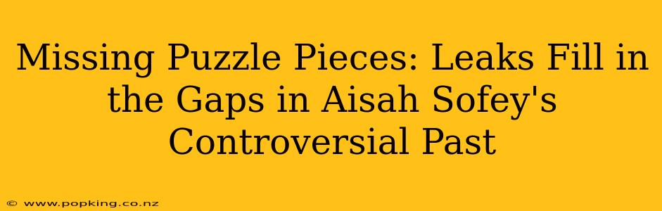 Missing Puzzle Pieces: Leaks Fill in the Gaps in Aisah Sofey's Controversial Past