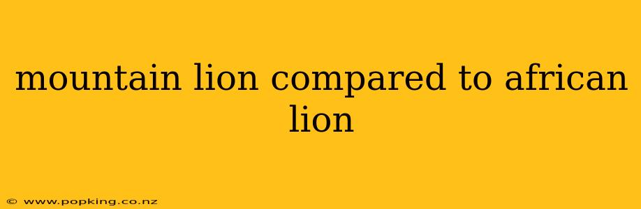 mountain lion compared to african lion