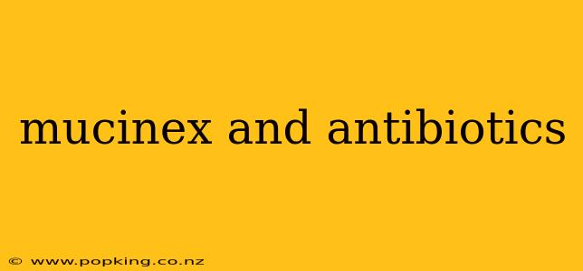 mucinex and antibiotics