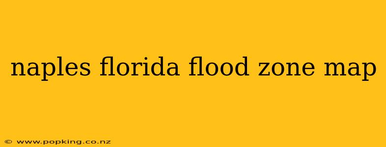 naples florida flood zone map