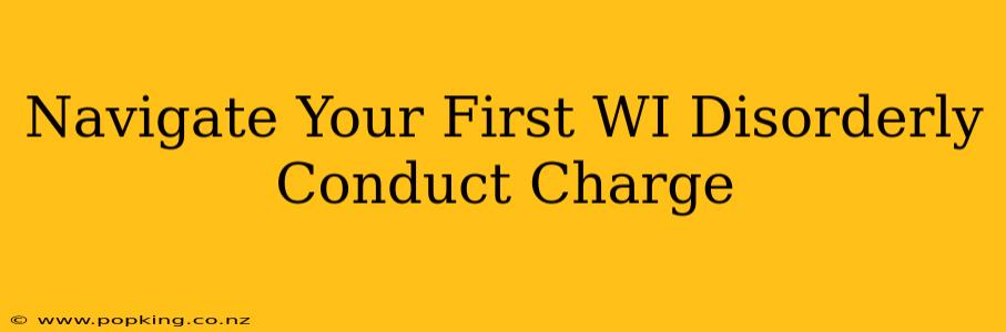 Navigate Your First WI Disorderly Conduct Charge