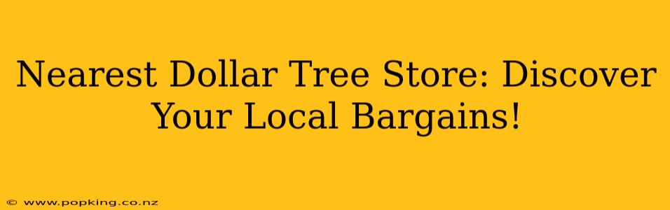 Nearest Dollar Tree Store: Discover Your Local Bargains!