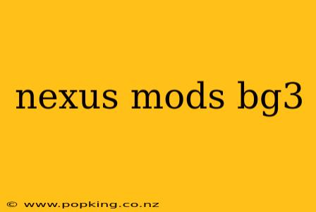 nexus mods bg3