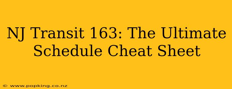 NJ Transit 163: The Ultimate Schedule Cheat Sheet