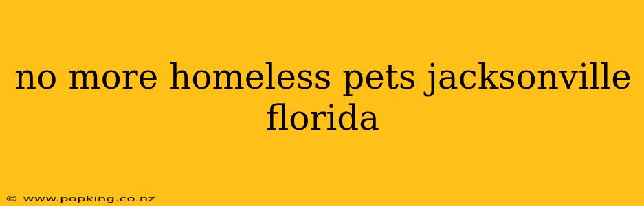 no more homeless pets jacksonville florida