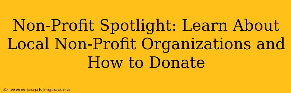 Non-Profit Spotlight: Learn About Local Non-Profit Organizations and How to Donate