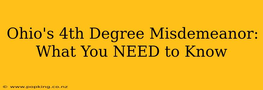 Ohio's 4th Degree Misdemeanor: What You NEED to Know