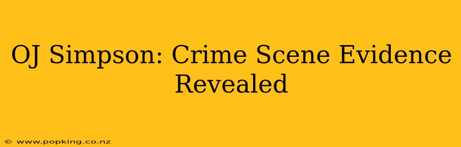 OJ Simpson: Crime Scene Evidence Revealed