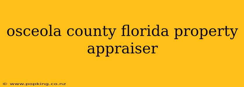 osceola county florida property appraiser