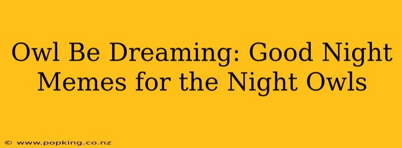 Owl Be Dreaming: Good Night Memes for the Night Owls