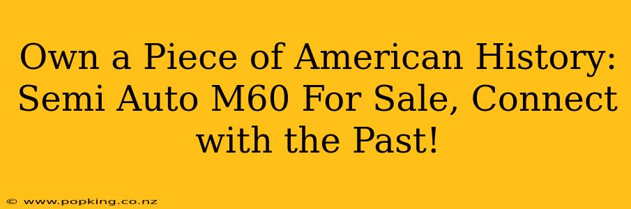 Own a Piece of American History: Semi Auto M60 For Sale, Connect with the Past!