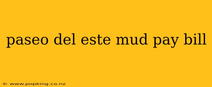 paseo del este mud pay bill