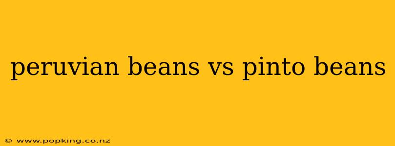 peruvian beans vs pinto beans