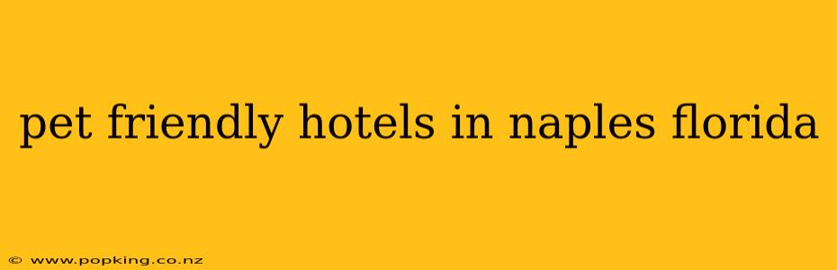 pet friendly hotels in naples florida