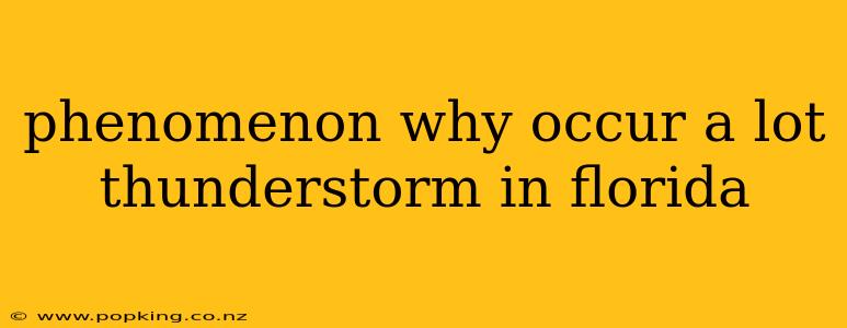 phenomenon why occur a lot thunderstorm in florida