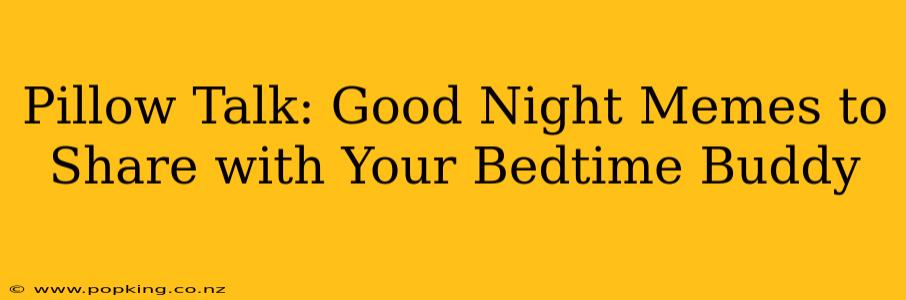Pillow Talk: Good Night Memes to Share with Your Bedtime Buddy